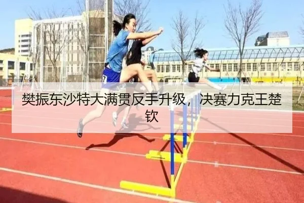 樊振东沙特大满贯反手升级，决赛力克王楚钦